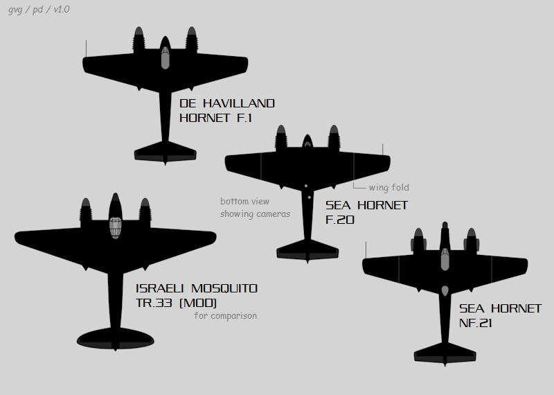 Hornet variants