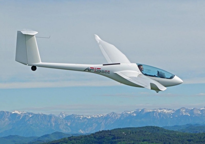 Apis sailplane